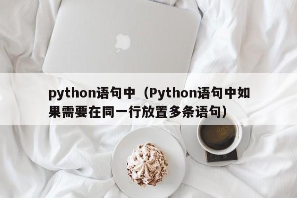 python语句中（Python语句中如果需要在同一行放置多条语句）
