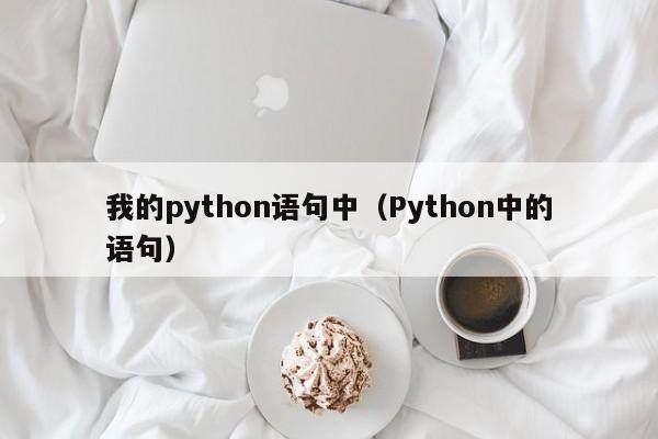 我的python语句中（Python中的语句）